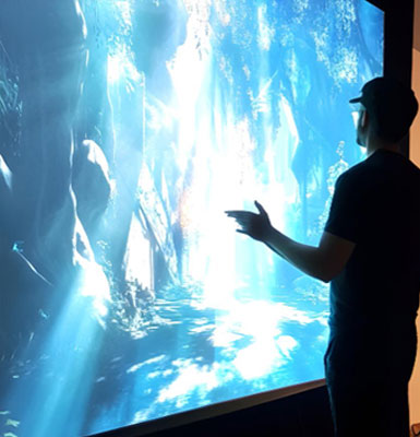 Interactive Displays & Touchscreens